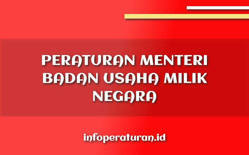 Peraturan Menteri Badan Usaha Milik Negara Nomor PER-3/MBU/03/2023 ...